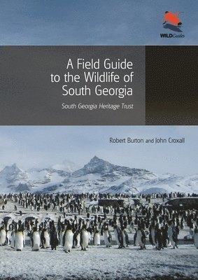 Robert Burton, John Croxall - Field Guide to the Wildlife of South Georgia, Häftad