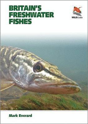 bokomslag Britain's Freshwater Fishes