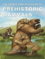 bokomslag The Princeton Field Guide to Prehistoric Mammals