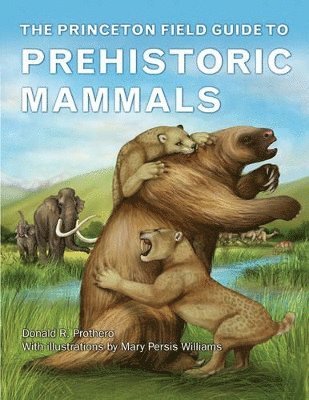 The Princeton Field Guide to Prehistoric Mammals 1