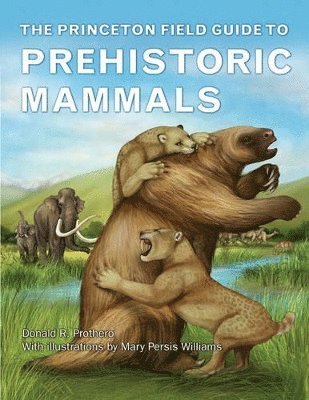 Donald R. Prothero - Princeton Field Guide to Prehistoric Mammals, Inbunden