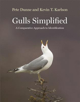 bokomslag Gulls Simplified