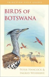bokomslag Birds of Botswana