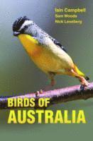 bokomslag Birds of Australia