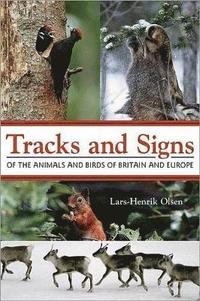 bokomslag Tracks and signs of the animals and birds of britain and europe