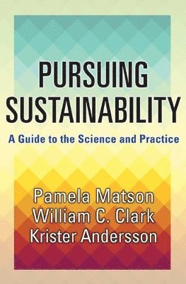 Pamela Matson, William C. Clark, Krister Par Andersson - Pursuing Sustainability, Inbunden