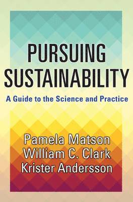 Pursuing Sustainability 1