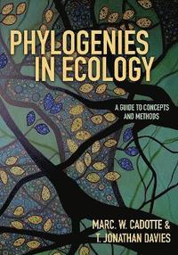 bokomslag Phylogenies in Ecology