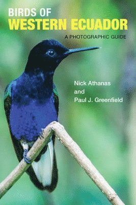 Birds of Western Ecuador 1