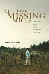 bokomslag All the Missing Souls