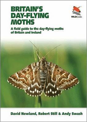bokomslag Britain's Day-flying Moths
