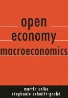 bokomslag Open Economy Macroeconomics