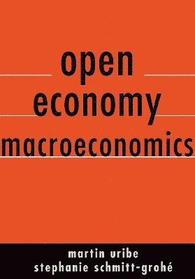 bokomslag Open Economy Macroeconomics