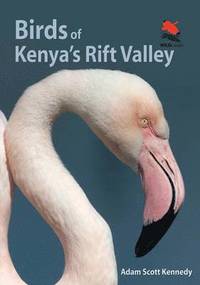 bokomslag Birds of Kenya's Rift Valley