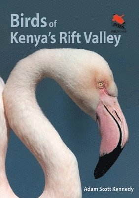 Adam Scott Kennedy - Birds of Kenya's Rift Valley, Häftad