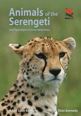 Adam Scott Kennedy, Vicki Beard - Animals of the Serengeti, Häftad