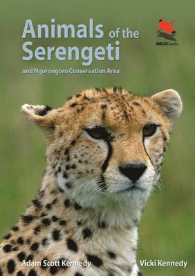 bokomslag Animals of the Serengeti