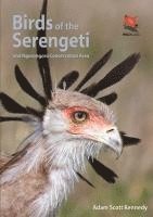 bokomslag Birds of the Serengeti