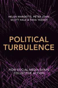 bokomslag Political Turbulence