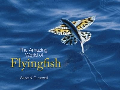 The Amazing World of Flyingfish 1