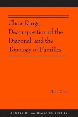 Claire Voisin - Chow Rings, Decomposition of the Diagonal, and the Topology of Families, Häftad