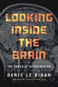 bokomslag Looking Inside the Brain