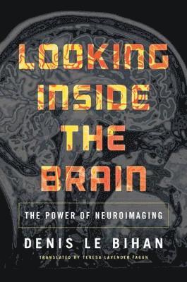 bokomslag Looking Inside the Brain