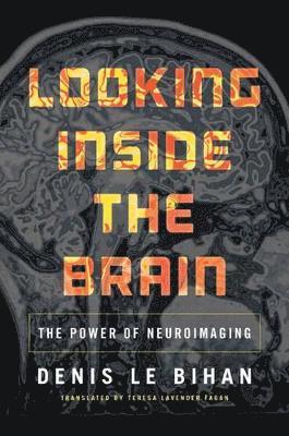 bokomslag Looking Inside the Brain