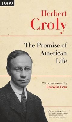 bokomslag The Promise of American Life