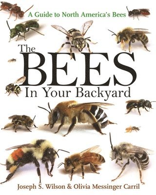 The Bees in Your Backyard 1