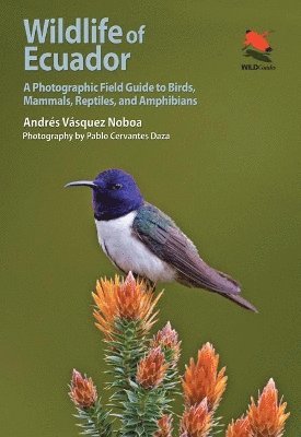 Andrés Vásquez Noboa - Wildlife of Ecuador, Häftad