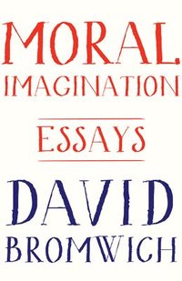 bokomslag Moral Imagination