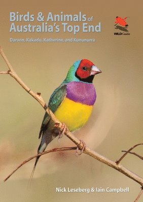 Nick Leseberg, Iain Campbell - Birds and Animals of Australia's Top End, Häftad