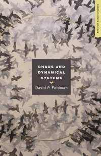 bokomslag Chaos and Dynamical Systems