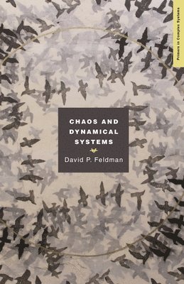 bokomslag Chaos and Dynamical Systems