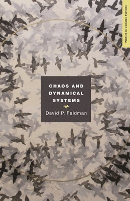 Chaos and Dynamical Systems 1