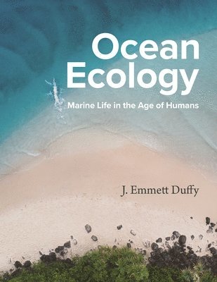 bokomslag Ocean Ecology