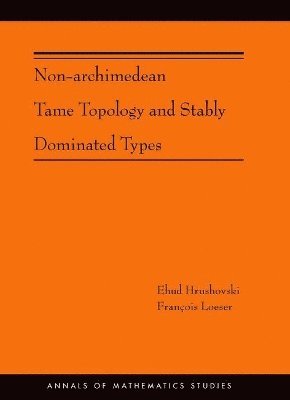 bokomslag Non-Archimedean Tame Topology and Stably Dominated Types