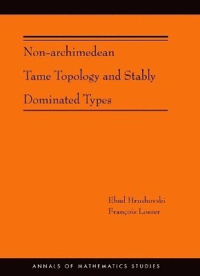 Non-Archimedean Tame Topology and Stably Dominated Types (AM-192) 1