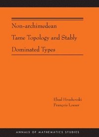 bokomslag Non-Archimedean Tame Topology and Stably Dominated Types