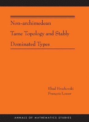 bokomslag Non-Archimedean Tame Topology and Stably Dominated Types (AM-192)