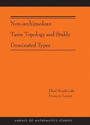 Non-Archimedean Tame Topology and Stably Dominated Types (AM-192) 1