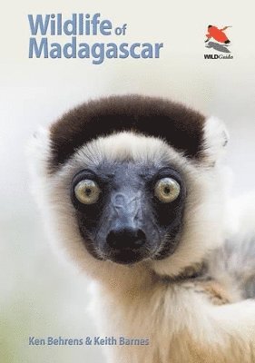 Wildlife of Madagascar 1