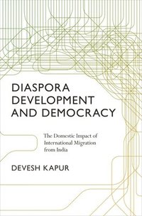 bokomslag Diaspora, Development, and Democracy
