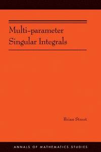 bokomslag Multi-parameter Singular Integrals. (AM-189), Volume I