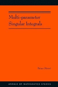 bokomslag Multi-parameter Singular Integrals, Volume I