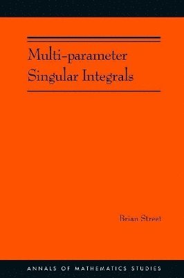 bokomslag Multi-parameter Singular Integrals, Volume I