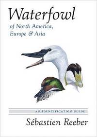 bokomslag Waterfowl of North America, Europe, and Asia: An Identification Guide