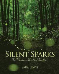 bokomslag Silent Sparks