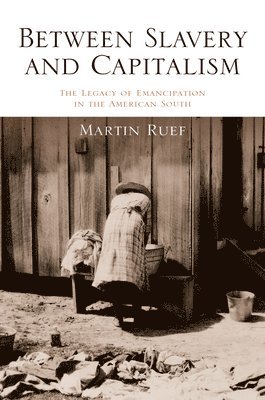 Martin Ruef - Between Slavery and Capitalism, Inbunden
